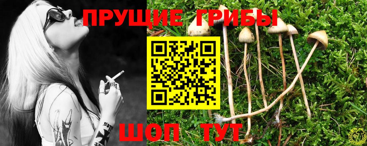 Галлюциногенные грибы мухоморы Дербент
