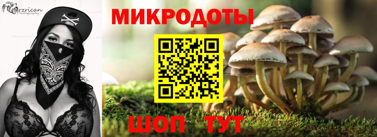 Дербент  Галлюциногенные грибы мухоморы  дарнет шоп  Вход с VPN 